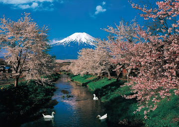 hm-52-599-cherry-blossom-at-mt-fuji-520-pieces-jigsaw-puzzle