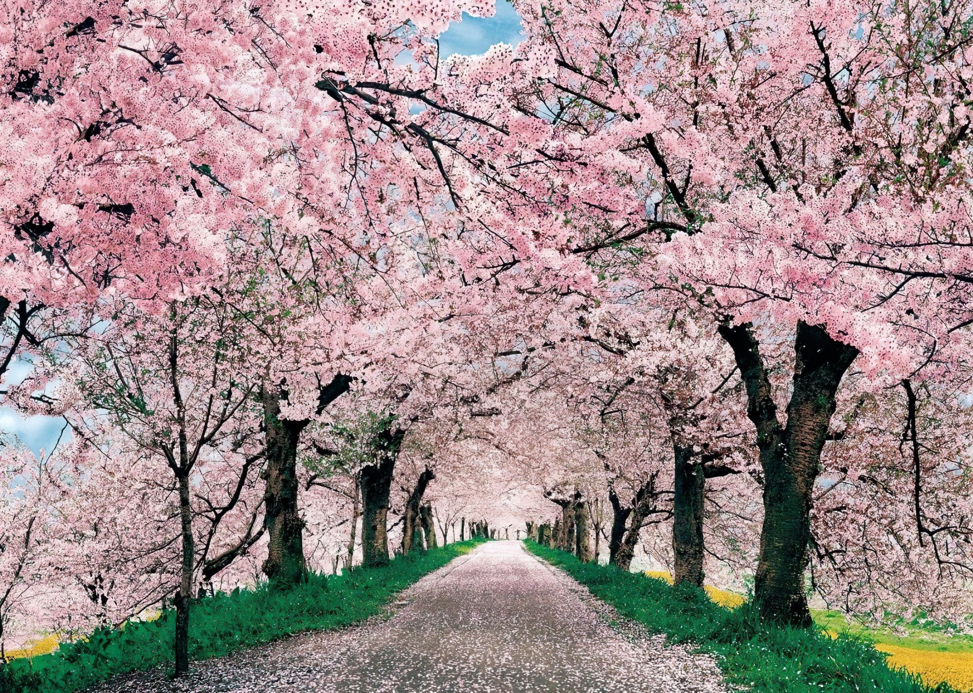 hm-52-617-cherry-blossom-road-520-pieces-jigsaw-puzzle