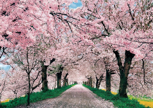 HM 52-617　Cherry Blossom Road　520 Pieces Jigsaw Puzzle