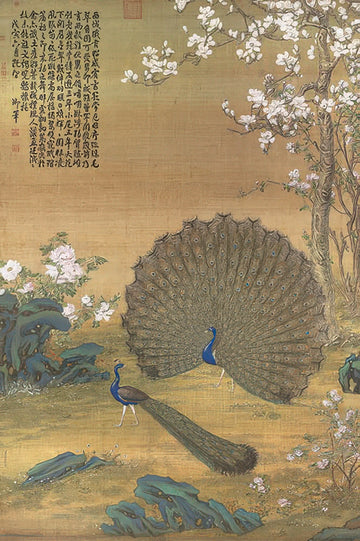 hundred-pictures-hpn01000-005-qing-dynasty,-lang-shining---peacock-displaying-its-tail-1000-pieces-jigsaw-puzzle