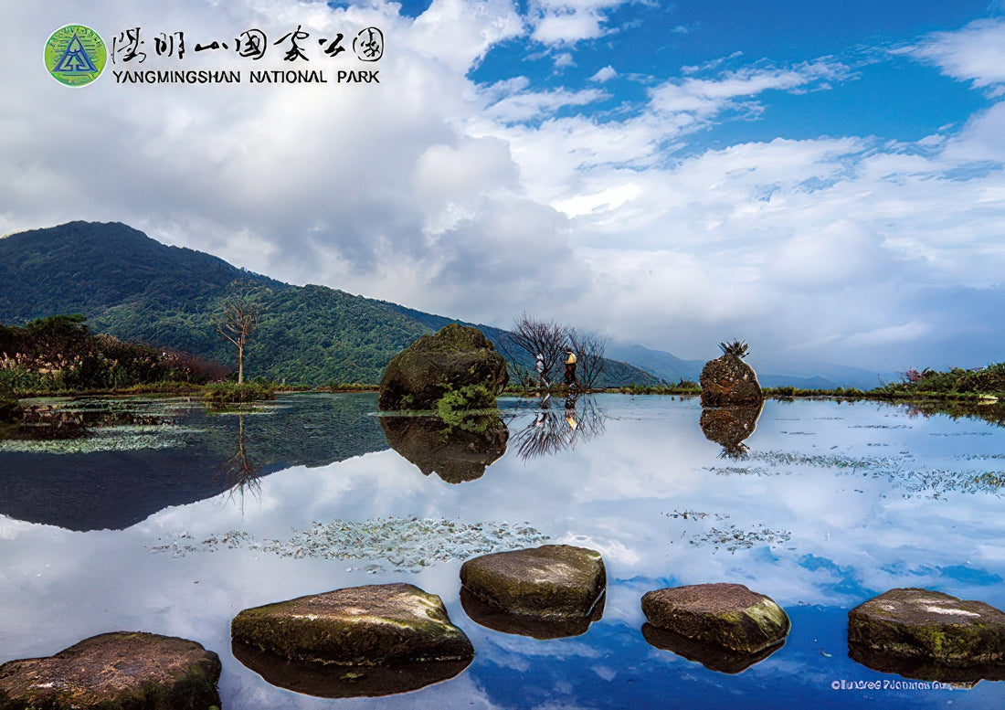 hundred-pictures-hpy0108-004-in-the-water-108-pieces-jigsaw-puzzle