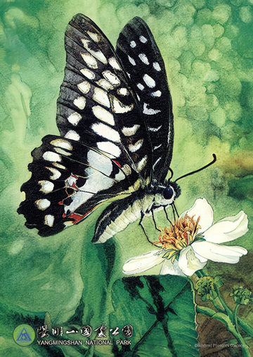 hundred-pictures-hpy0108-005-butterflies-in-love-with-flowers-108-pieces-jigsaw-puzzle