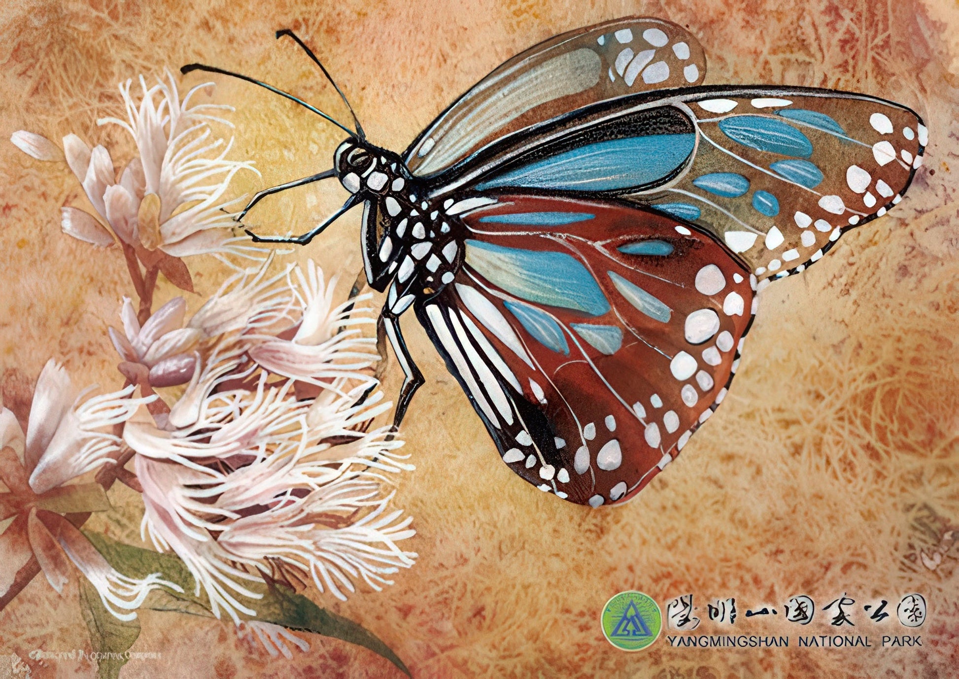 hundred-pictures-hpy0108-006-elegant-and-quiet-enjoyment-108-pieces-jigsaw-puzzle