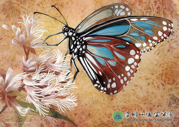 hundred-pictures-hpy0108-006-elegant-and-quiet-enjoyment-108-pieces-jigsaw-puzzle