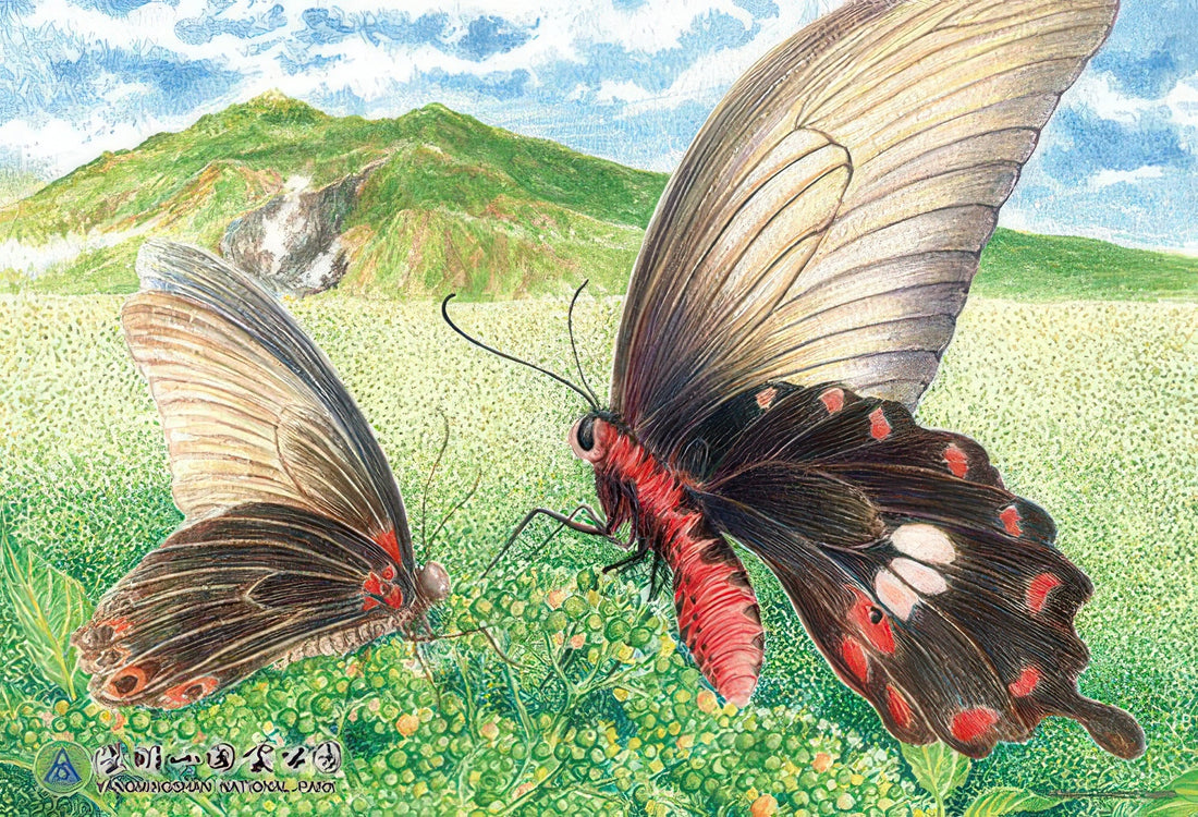 hundred-pictures-hpy0300s-004-soaring-red-garment-300-pieces-jigsaw-puzzle