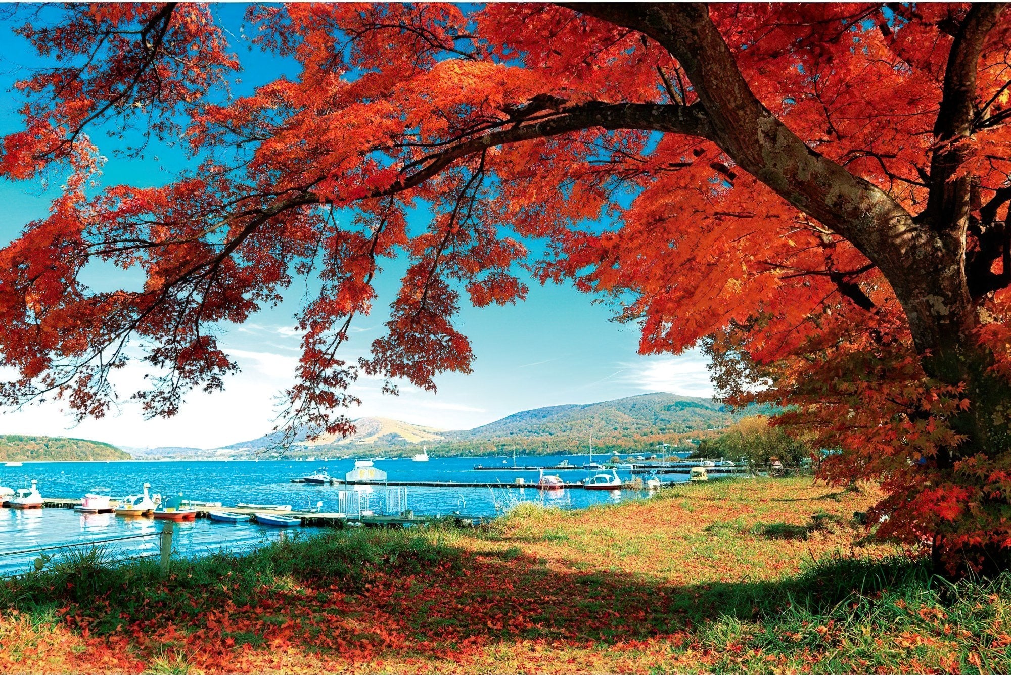 p2art-01-014-scenery-huadu-park-at-lake-yamanaka-1000-pieces-jigsaw-puzzle