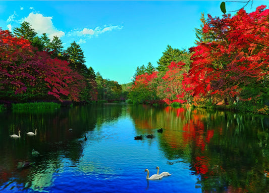 P2Art 25-022　Scenery • White Geese at Yunchang Pool　520 Pieces Jigsaw Puzzle