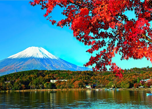 P2Art 25-024　Scenery • Yamanaka Lakeside, Mt. Fuji　520 Pieces Jigsaw Puzzle