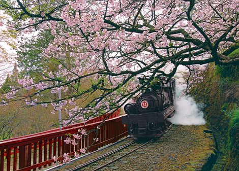 p2art-k25-006-alishan-steam-train-chiayi-520-pieces-jigsaw-puzzle