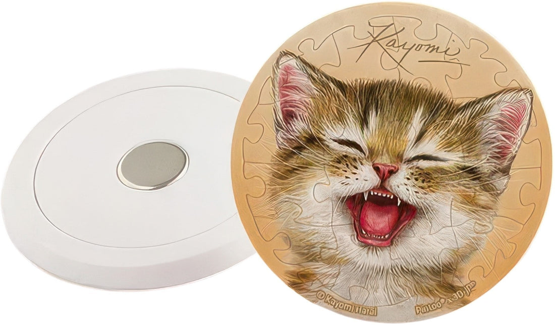 pintoo-d1313-kayomi---bright-smile-16-pieces-magnet-puzzle