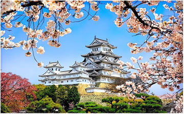 Pintoo • Scenery. Castle • Himeji-jo Castle in Spring Cherry Blossoms　1000 PCS　Plastic Jigsaw Puzzle