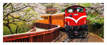 pintoo-h1483-alishan-small-train-1000-pieces-jigsaw-puzzle