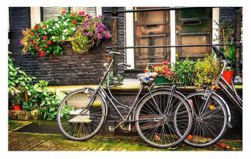 pintoo-h1572-10-netherlands---bicycle-1000-pieces-jigsaw-puzzle