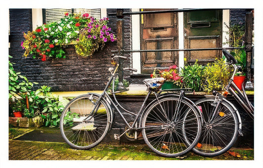 Pintoo H1572　Scenery • Cycling in Amsterdam, Netherlands　1000 Pieces Plastic Jigsaw Puzzle