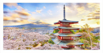 pintoo-h2016-japan---fuji-sengen-shrine-800-pieces-jigsaw-puzzle