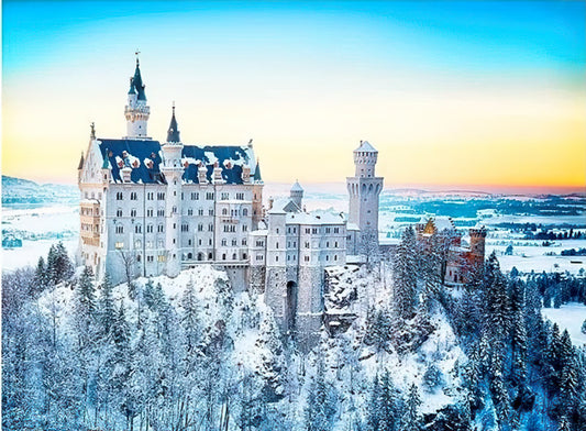 Pintoo • Scenery • A Snowy Day at Neuschwanstein Castle　300 PCS　Plastic Jigsaw Puzzle
