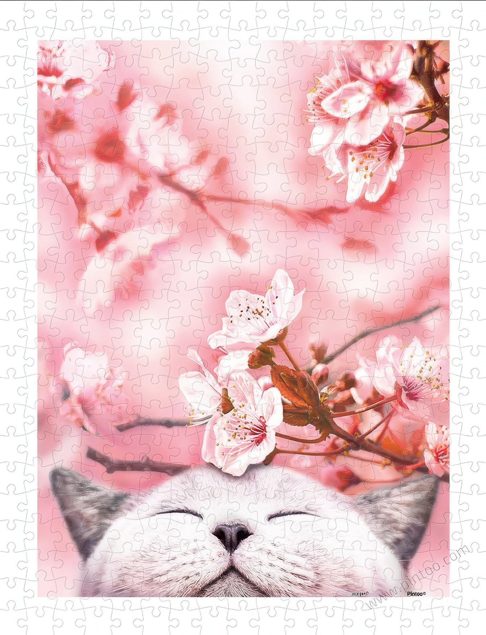 pintoo-h2462-03-cherry-blossom-edition---cherry-blossom-kitten-300-pieces-jigsaw-puzzle