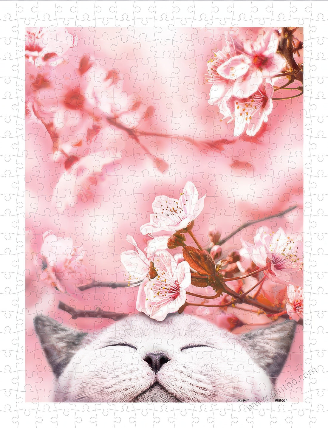 pintoo-h2462-03-cherry-blossom-edition---cherry-blossom-kitten-300-pieces-jigsaw-puzzle