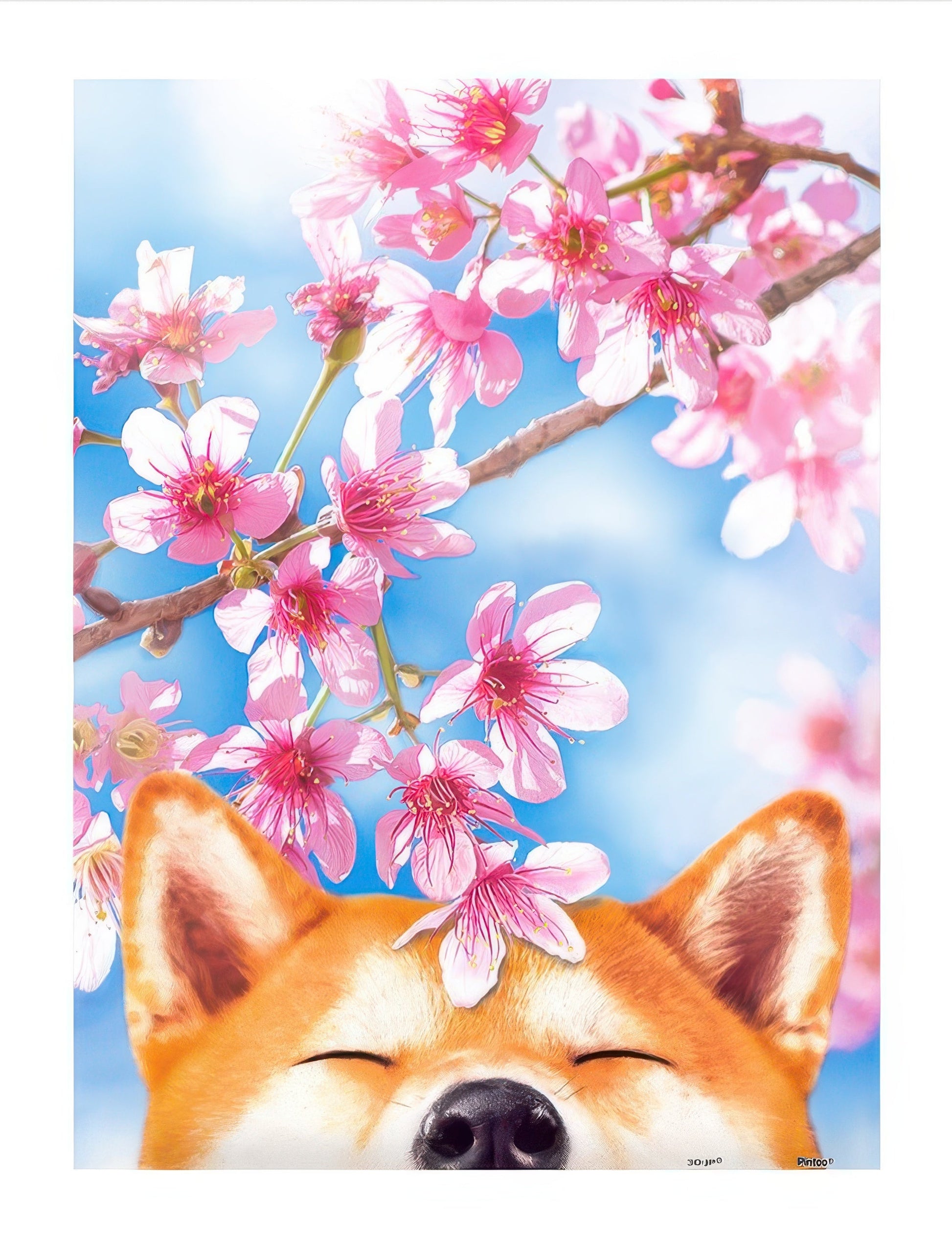 pintoo-h2463-03-cherry-blossom-edition---cherry-blossom-shiba-inu-300-pieces-jigsaw-puzzle