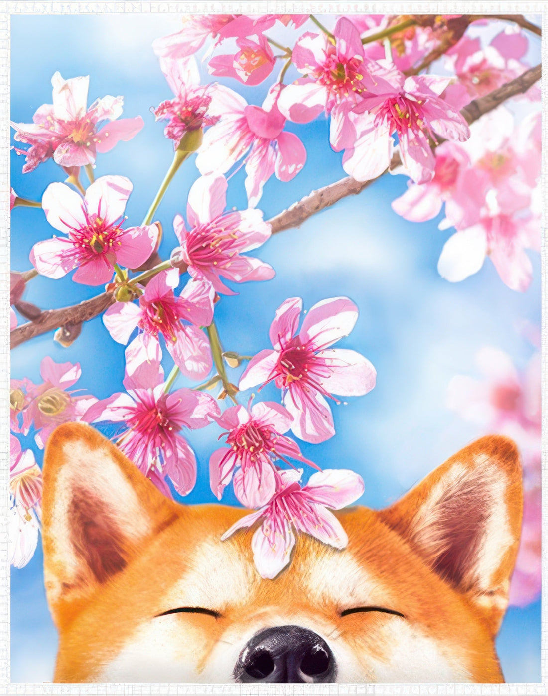 pintoo-h2463-45-cherry-blossom-edition---cherry-blossom-shiba-inu-4500-pieces-jigsaw-puzzle