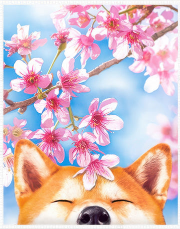 pintoo-h2463-45-cherry-blossom-edition---cherry-blossom-shiba-inu-4500-pieces-jigsaw-puzzle