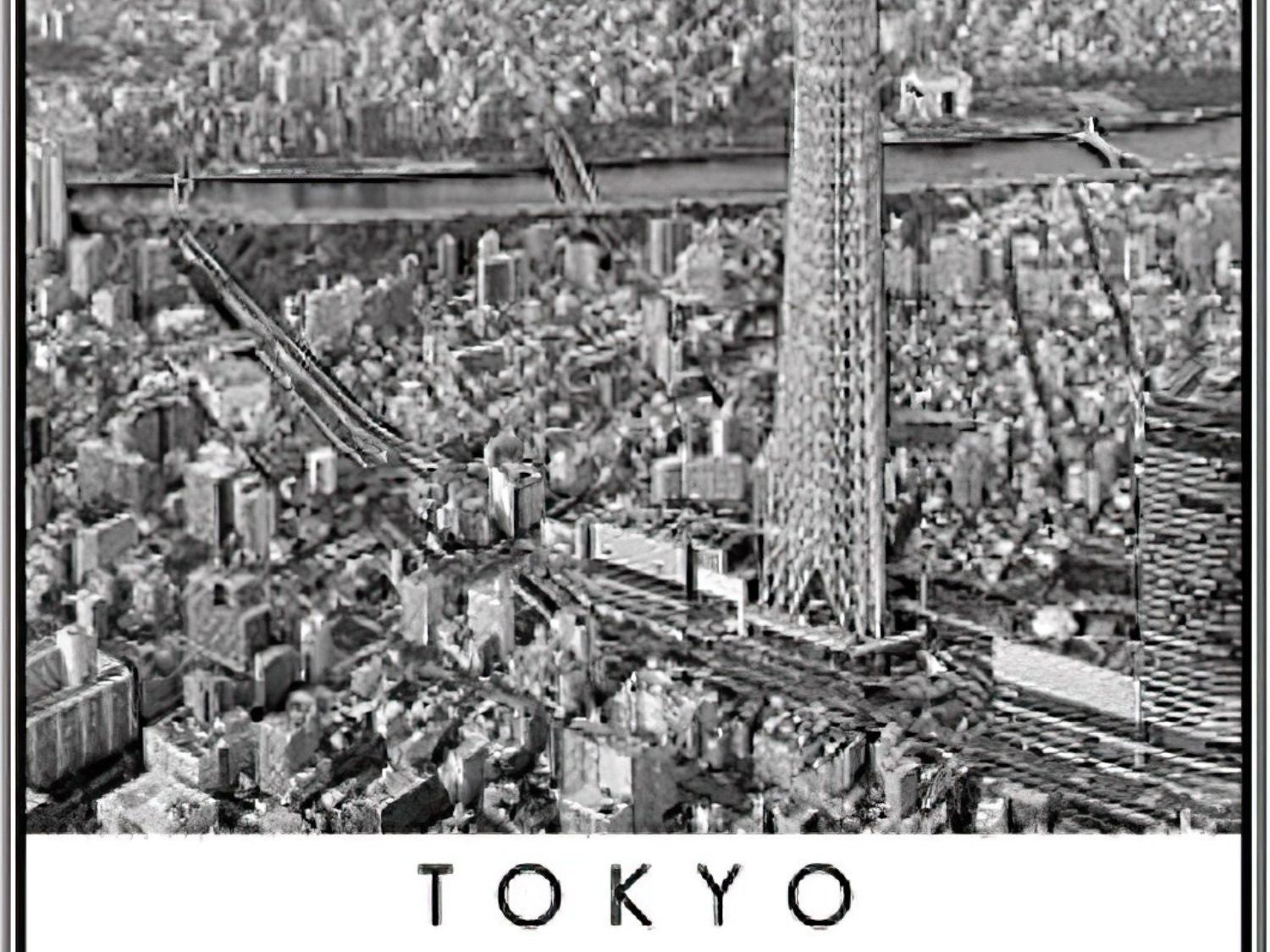 Pintoo • Scenery • Black and White / Tokyo　1000 PCS　Plastic Jigsaw Puzzle