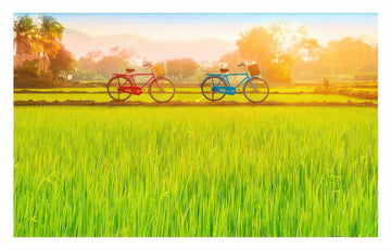 pintoo-h2648-bicycle-tour---country-lane-edition-1000-pieces-jigsaw-puzzle