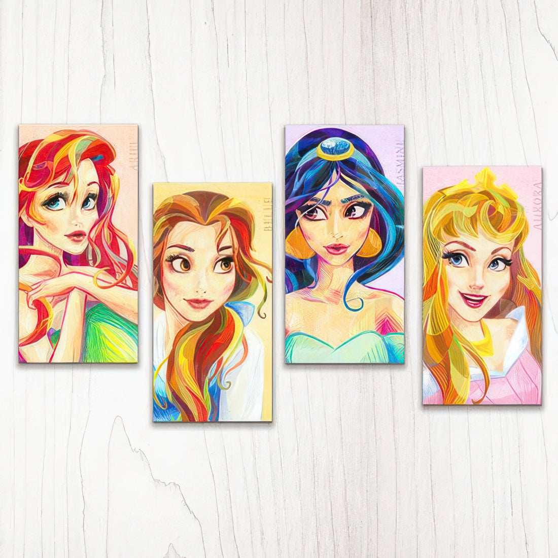 pintoo-hn1006-portraits-of-disney-princesses-480-multipack-plastic-canvas-puzzle