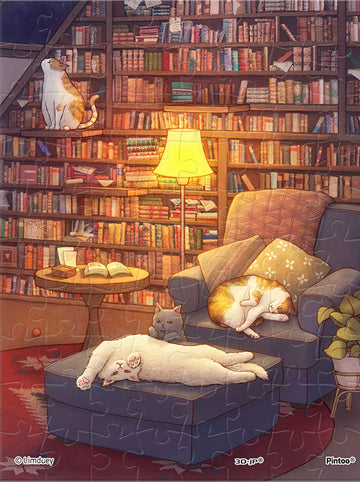 pintoo-q1202-limduey---library-at-night-80-pieces-puzzle-+-frame-set