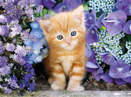 Renoir CL-500-30415　Animal • Little Orange Cat Among Flowers　500 Pieces Jigsaw Puzzle