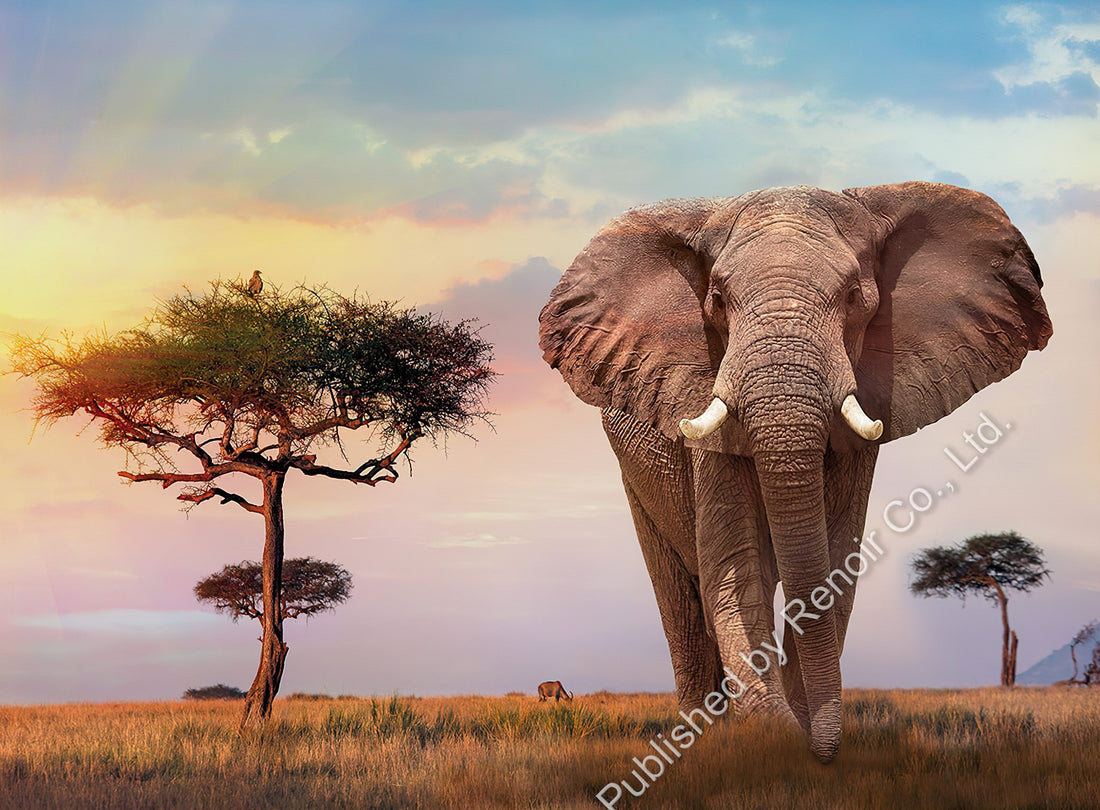 renoir-cl-500-35096-animal-african-elephant-and-sunset-500-pieces-jigsaw-puzzle