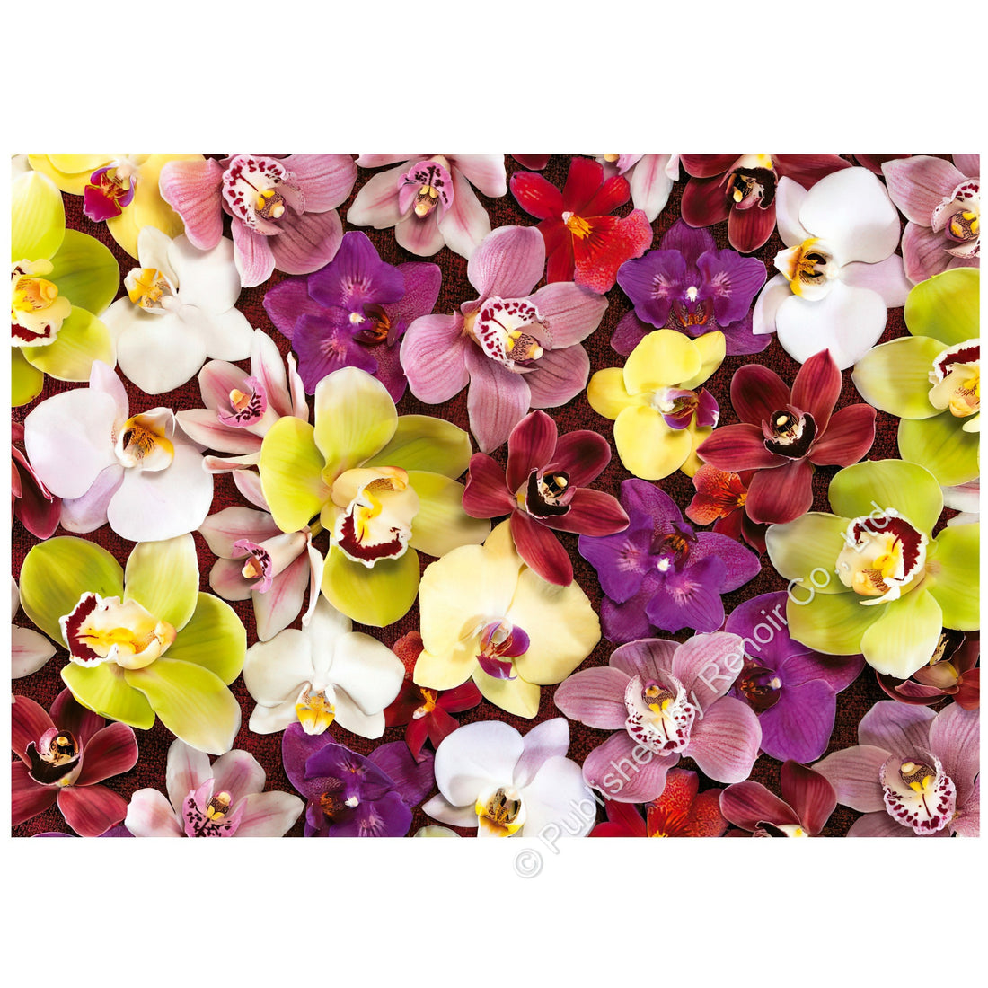 renoir-ed-1000-19558-flower-orchid-collage-1000-pieces-jigsaw-puzzle