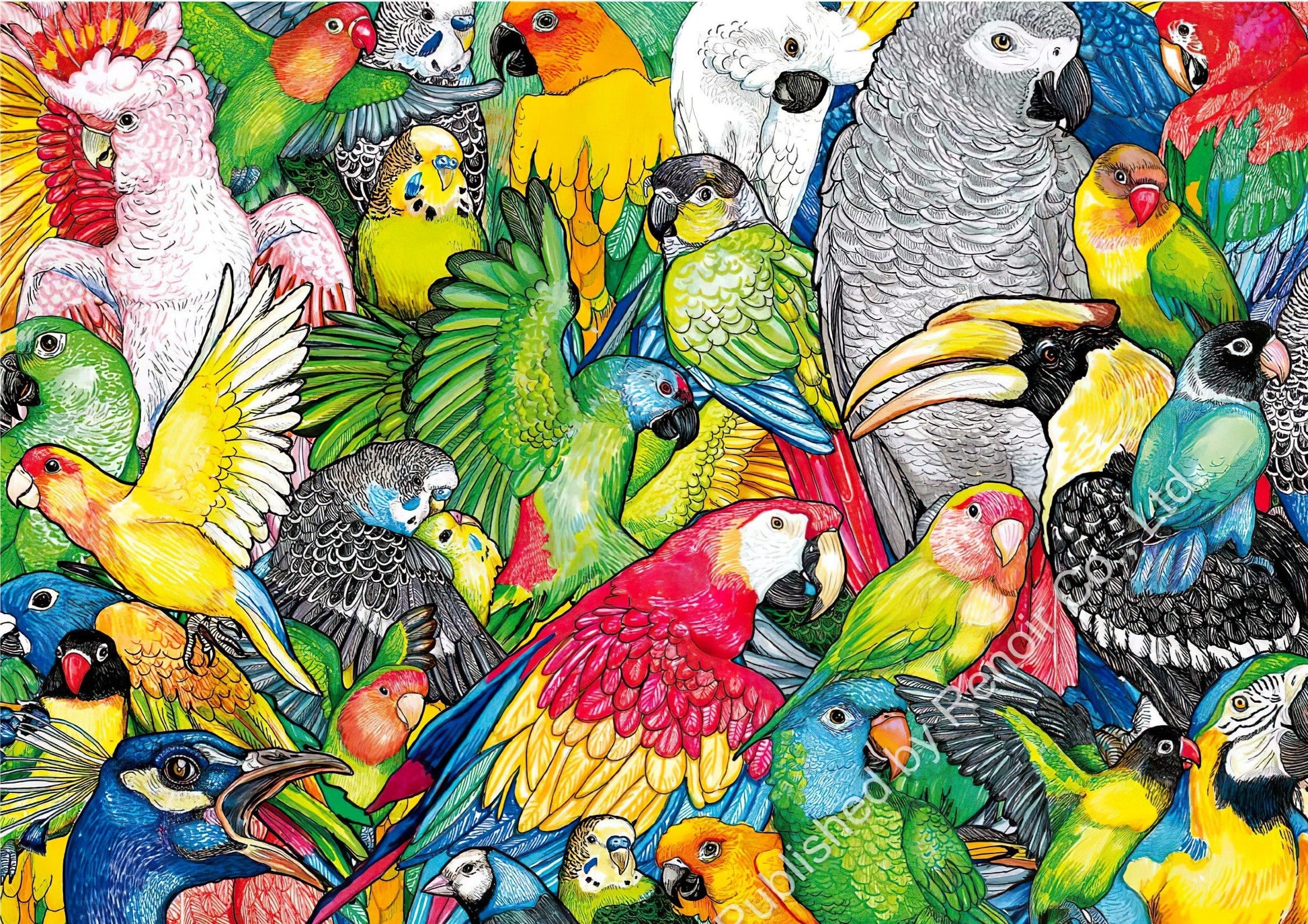 renoir-ed-500-19547-animal-parrot-500-pieces-jigsaw-puzzle