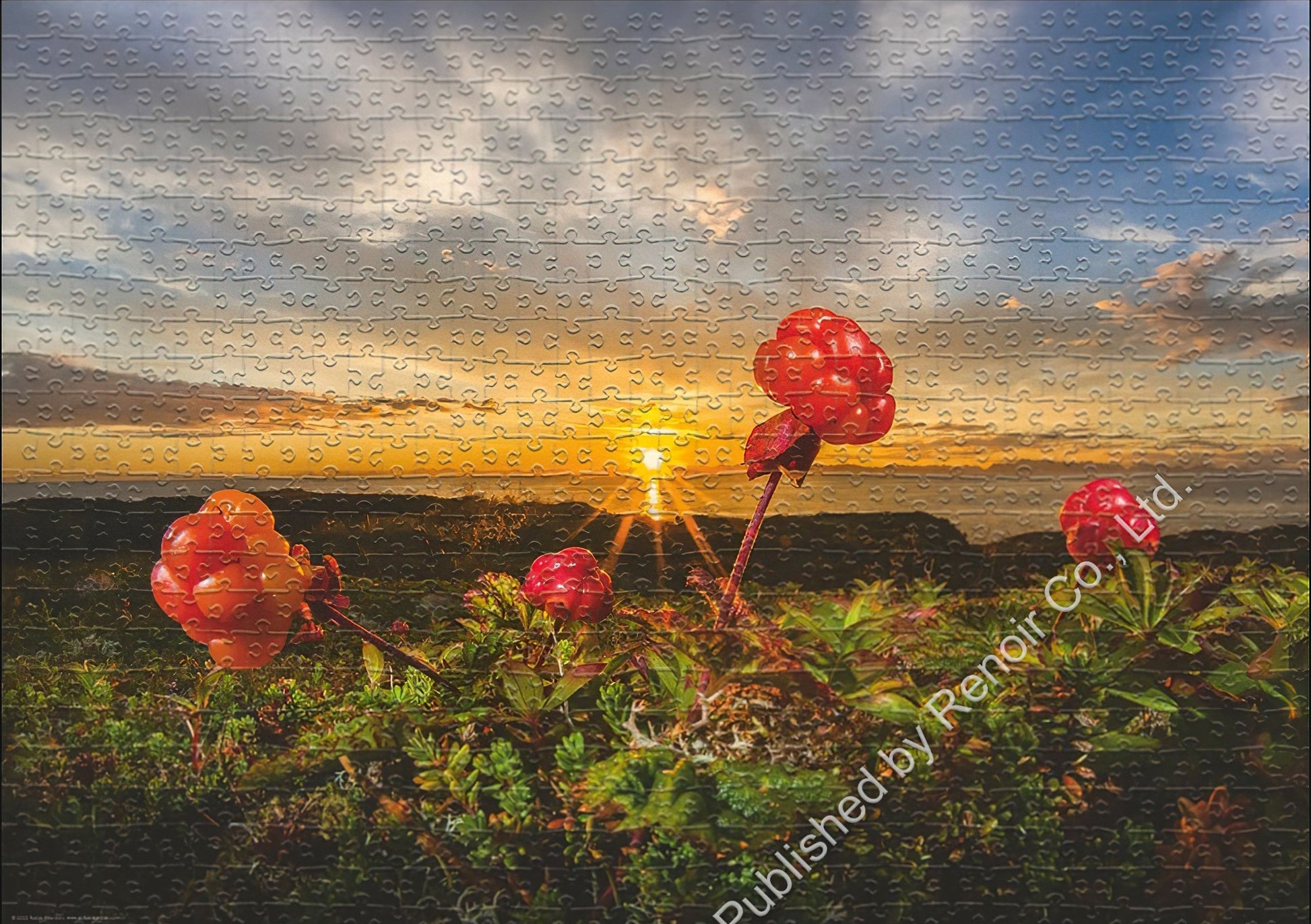 renoir-h-1000-30016-scenery-morning-cloudberries-1000-pieces-jigsaw-puzzle