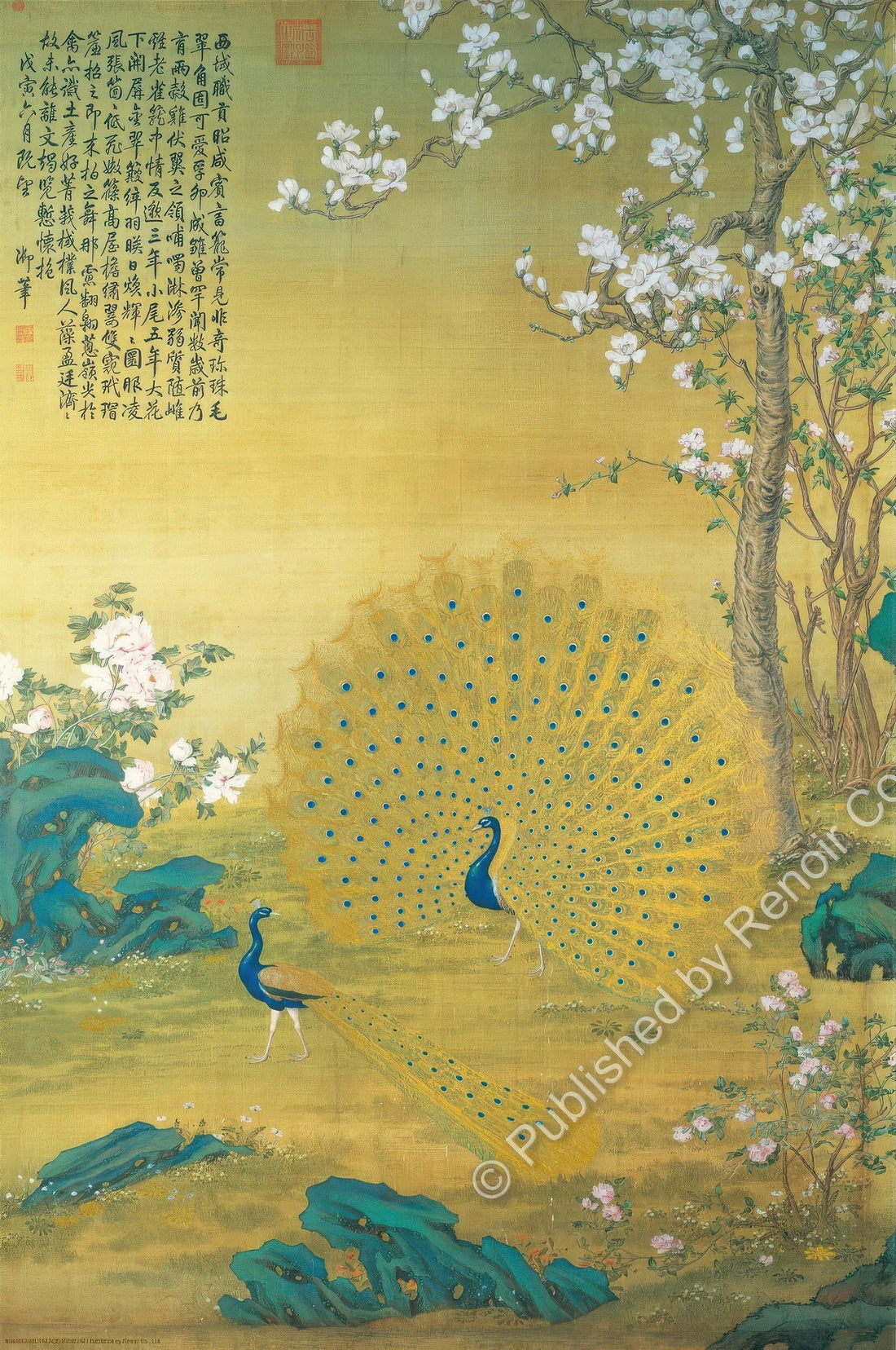 renoir-r-1008-1990-peacock-in-full-bloom-1008-pieces-jigsaw-puzzle