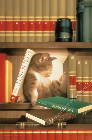 renoir-r-300-1286-dreamland-book-sea-300-pieces-jigsaw-puzzle