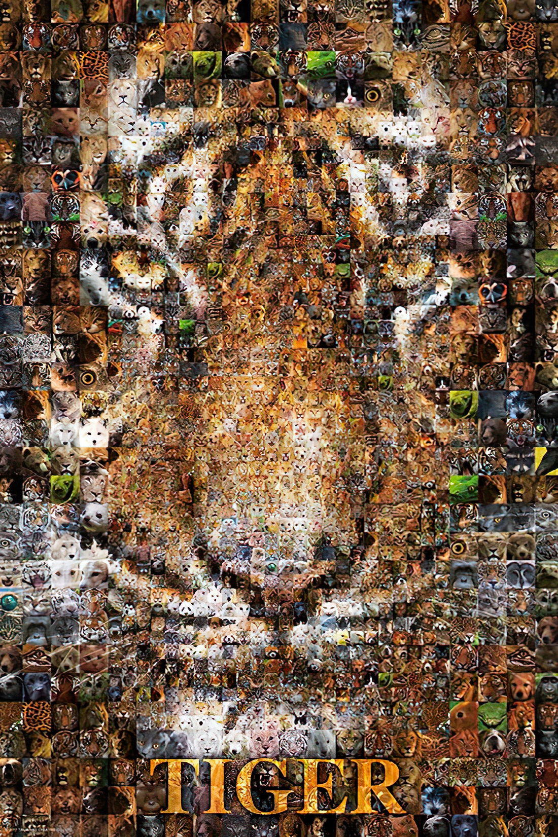 taiwang-tw-1000-006-tiger-1000-pieces-jigsaw-puzzle