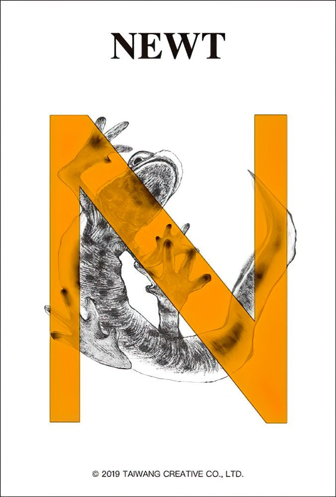 taiwang-tw-126-032-n-newt-126-pieces-jigsaw-puzzle