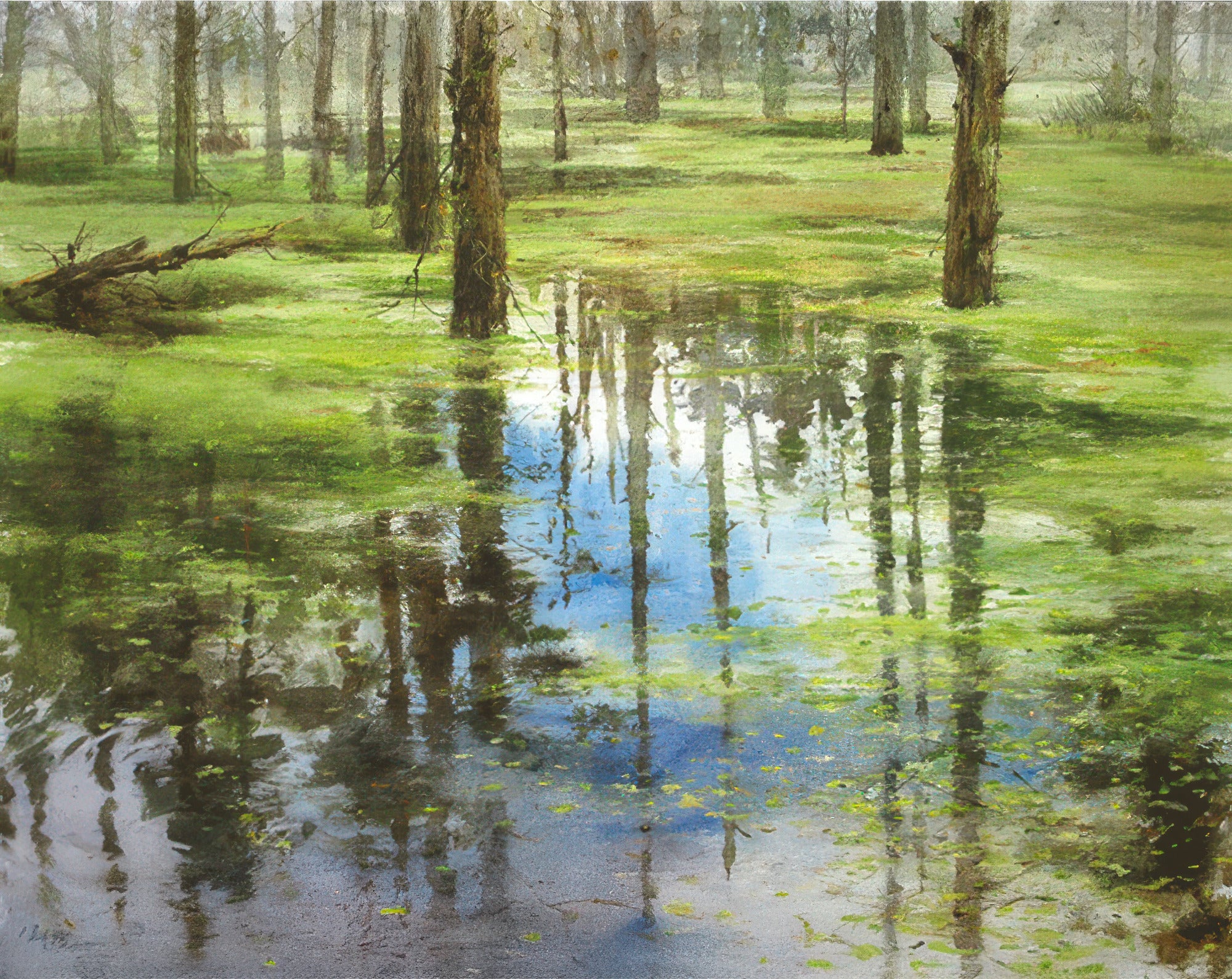 taiwang-tw-300-007-forgetting-sorrow-300-pieces-jigsaw-puzzle