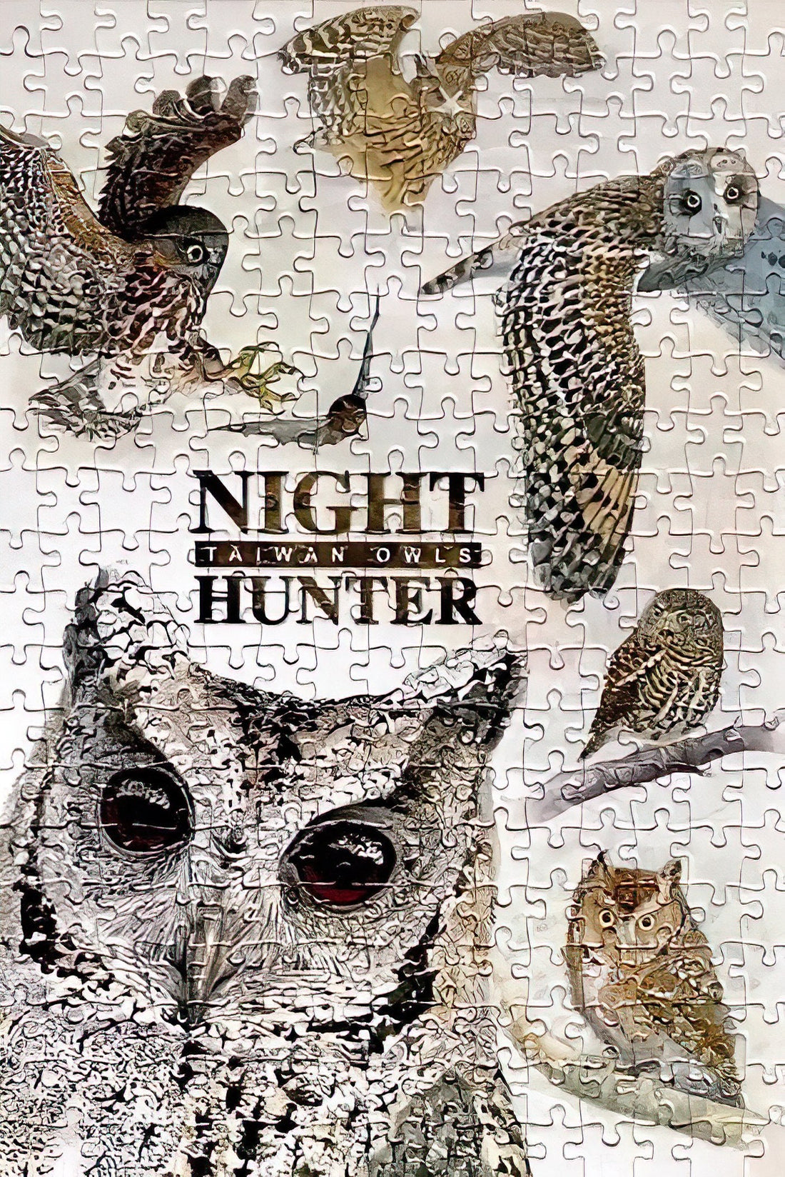 taiwang-tw-300-028-guardian-of-the-forest-starry-spirit-owl-300-pieces-jigsaw-puzzle