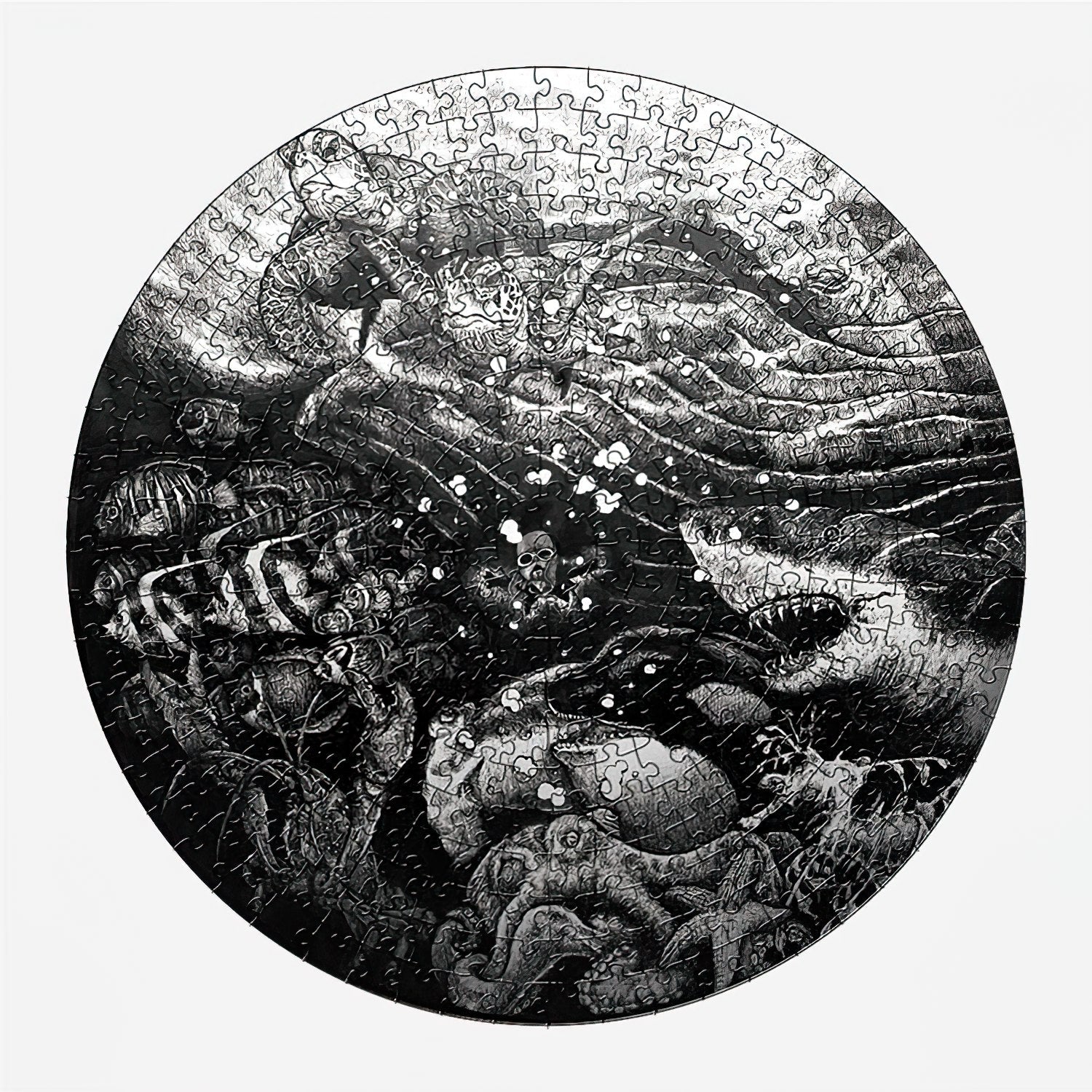 taiwang-tw-365-003-ocean-adventure-365-pieces-jigsaw-puzzle