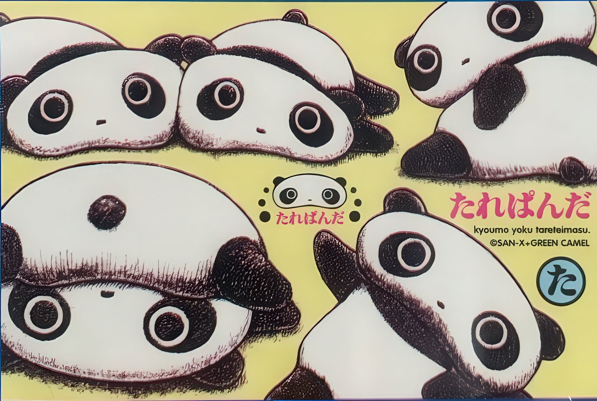 tenyo-d-1000-648-today-is-a-good-day-to-be-lazy-1000-pieces-jigsaw-puzzle