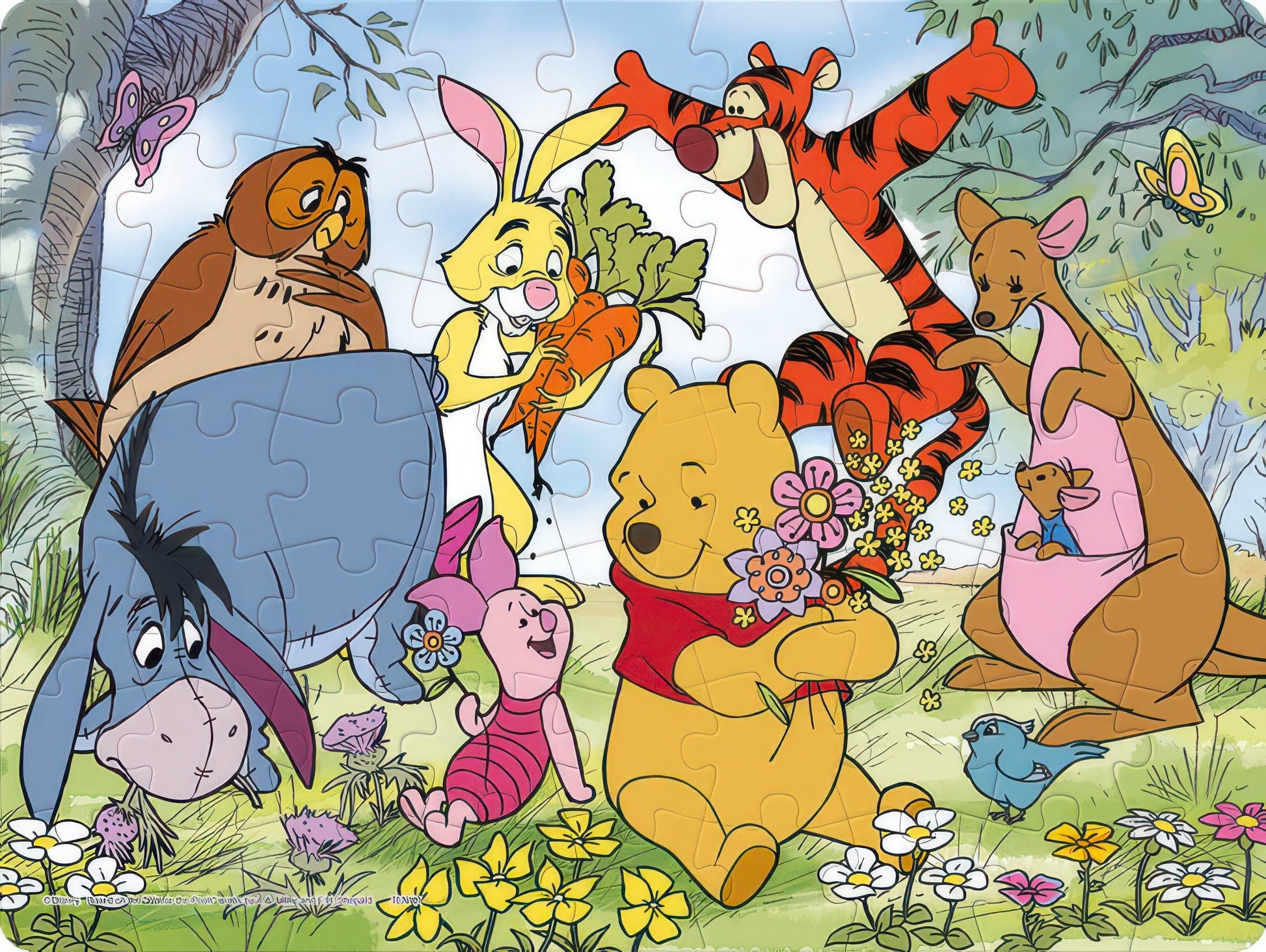 tenyo-dl-63-702-winnie-the-pooh-fun-flower-field-63-pieces-kids-puzzle