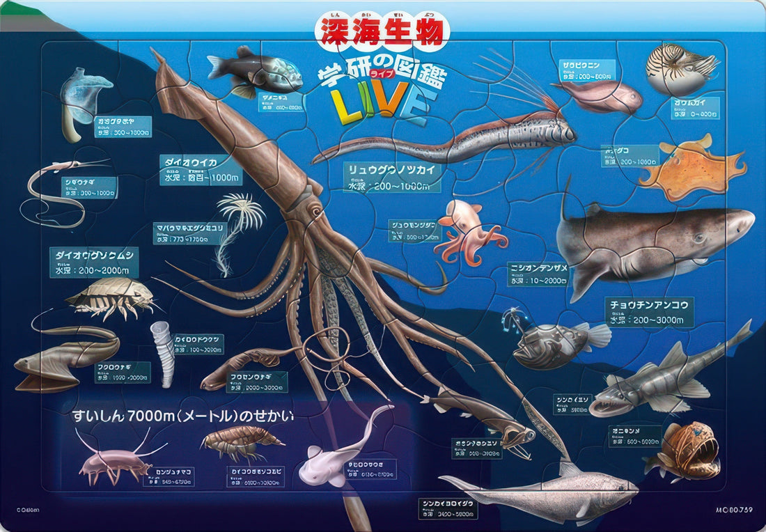 tenyo-mc-80-759-deep-sea-animals-encylopedia-80-pieces-kids-puzzle