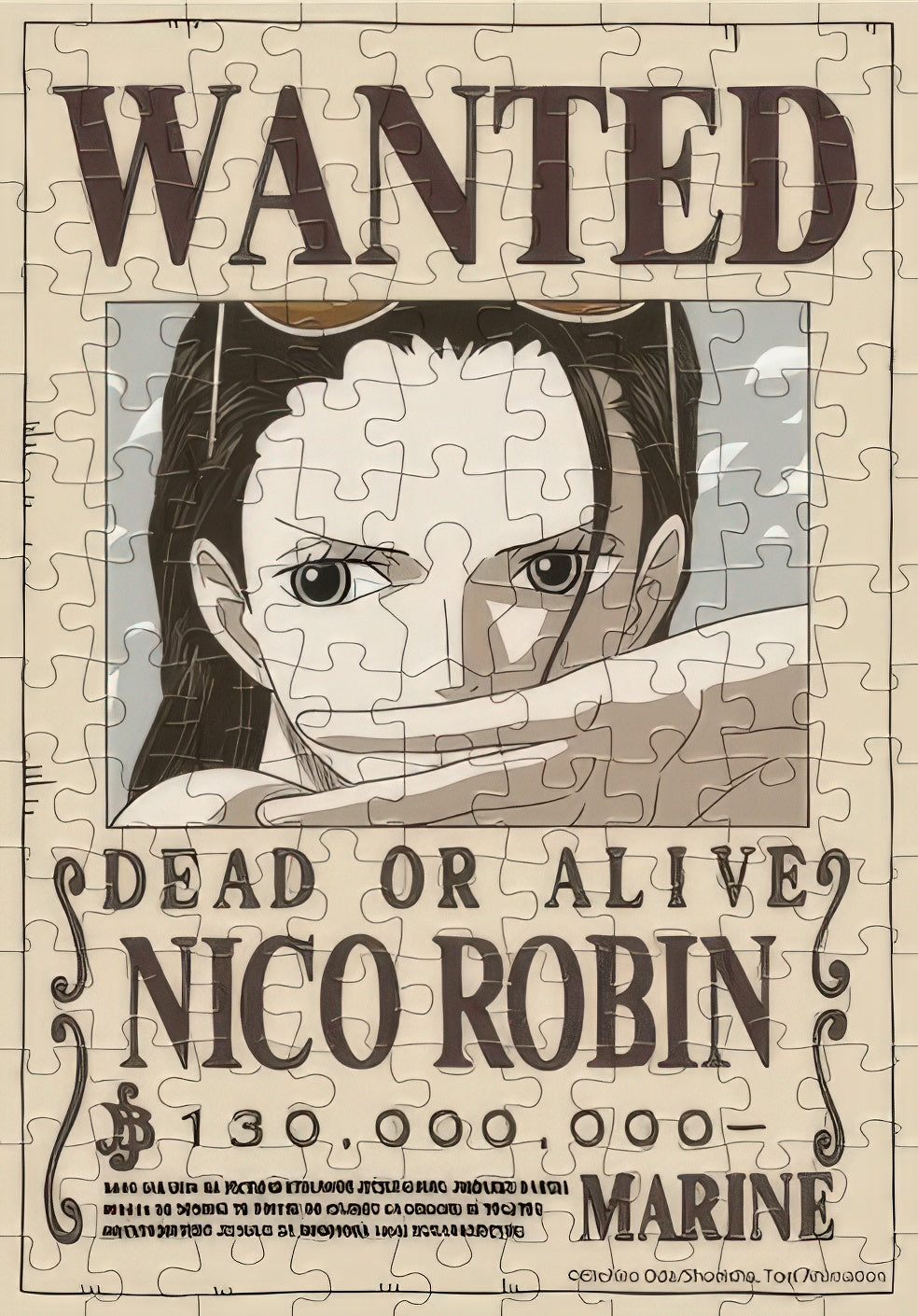 toi-world-00356-06-wanted-poster-robin-126-pieces-jigsaw-puzzle