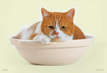 yanoman-01-2054-haruma-cat-pot?-108-pieces-jigsaw-puzzle