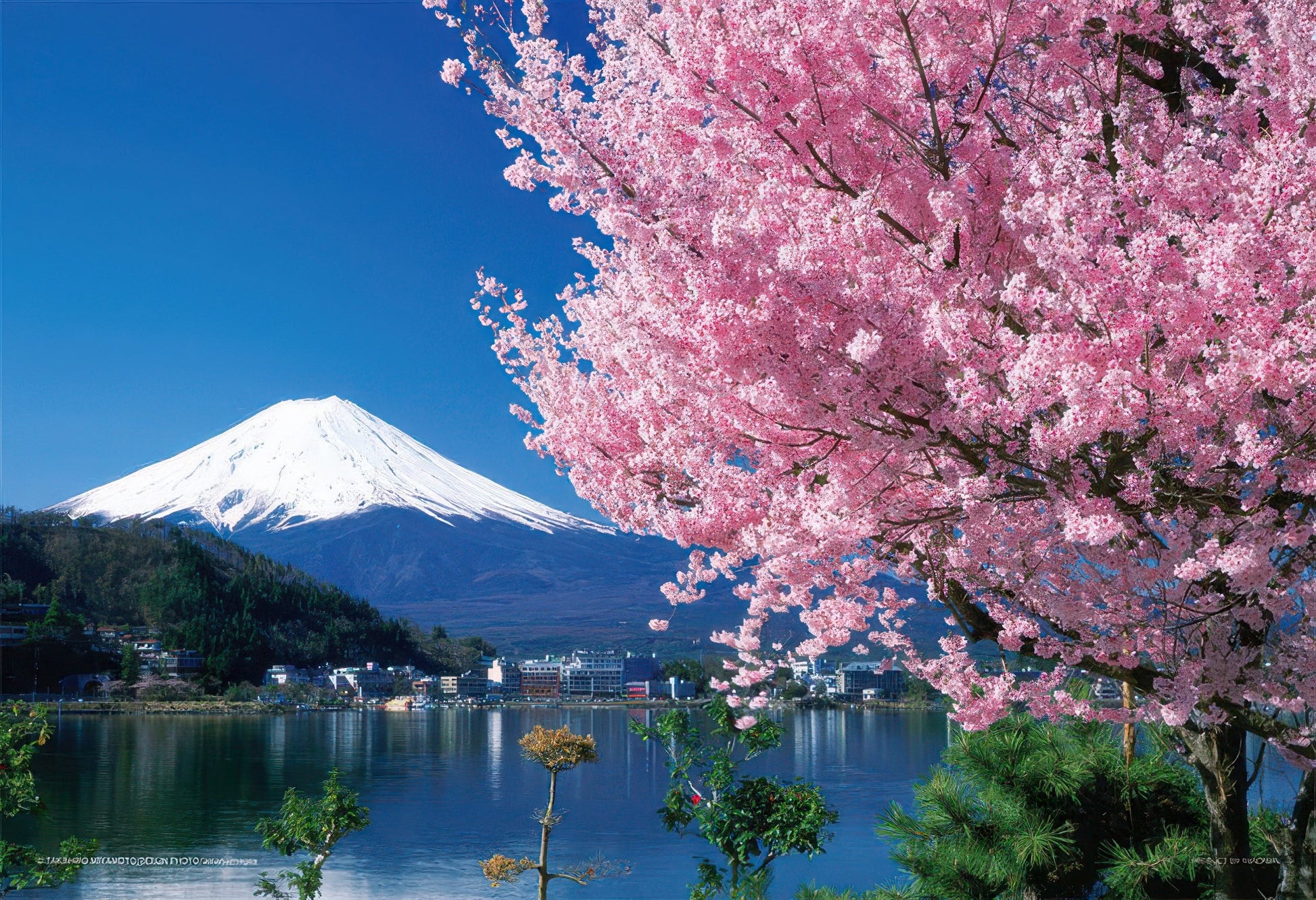 yanoman-01-2068-cherry-blossoms-and-mount-fuji-(yamanashi)-108-pieces-jigsaw-puzzle