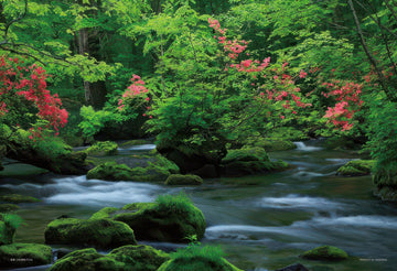 yanoman-01-2086-cooling-oirase-stream-(aomori)-108-pieces-jigsaw-puzzle