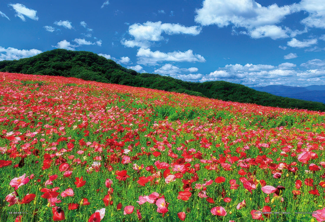 yanoman-01-2089-poppies-of-the-sky-chichibu-kogen-farm-(saitama)-108-pieces-jigsaw-puzzle