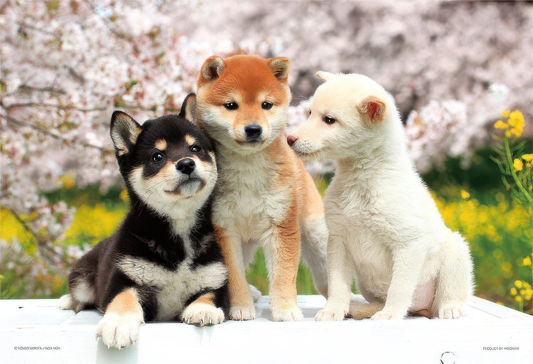 yanoman-03-883-friendly-friends-(shiba-inu)-300-pieces-jigsaw-puzzle